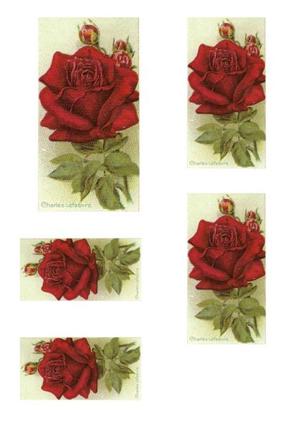 <b>Special OfferMakes 50 Cards-Classic Rose Full Set 30 x A4 sheets to DOWNLOAD